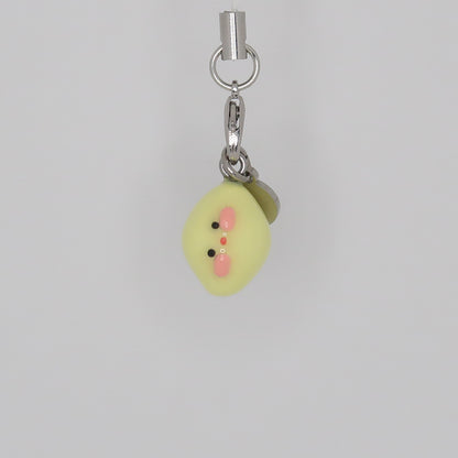 Summer Throwback Mini Charms